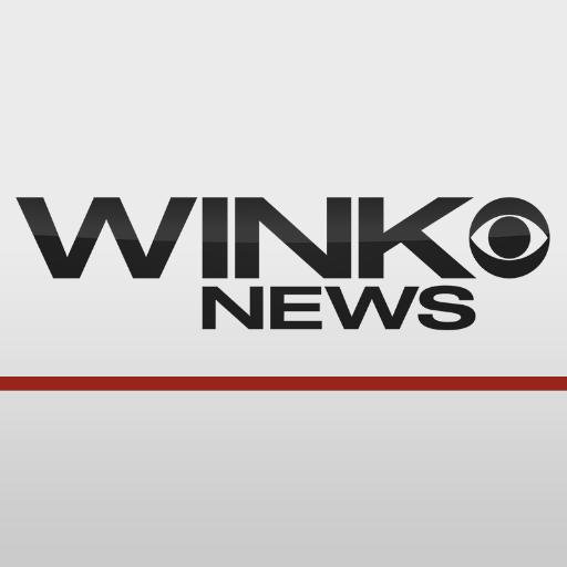Wink tv logo