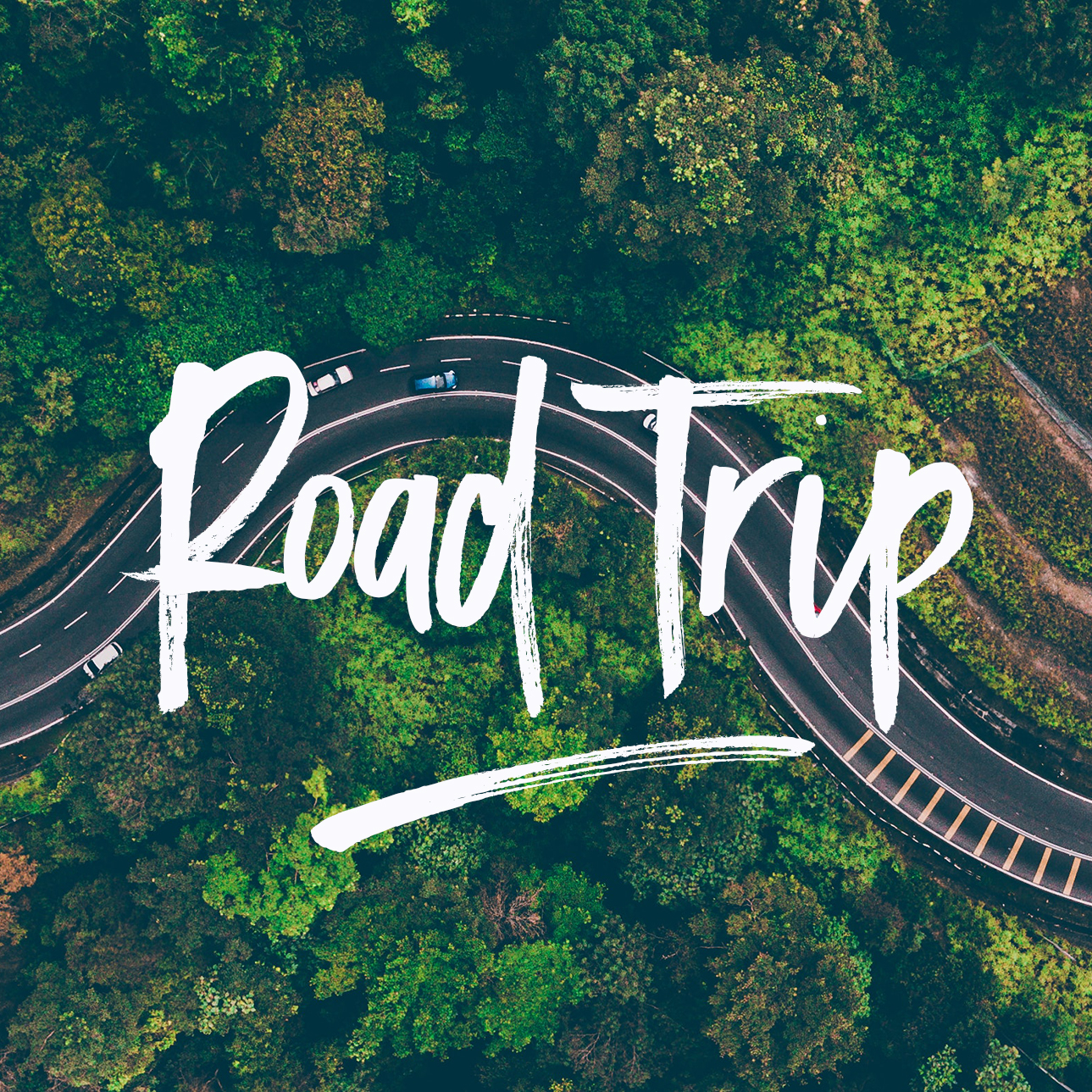Phrase 'Road Trip' in white lettering over photo of curved road through green trees